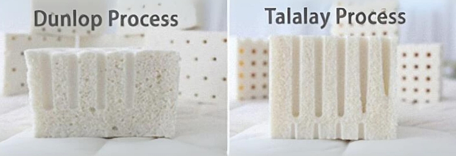 lateks Dunlop vs Talalay